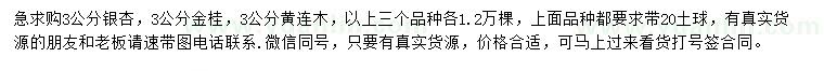 求购银杏、金桂、黄连木