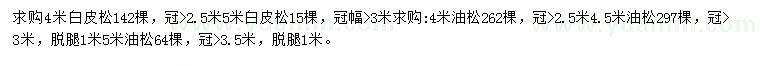 求购4、5米白皮松、4.5、5米油松