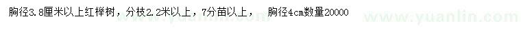 求购胸径3.8公分以上红榉树