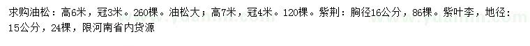 求购油松、紫荆、紫叶李