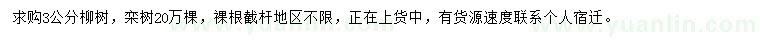 求购3公分柳树、栾树