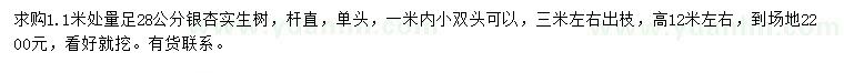 求购1.1米量28公分银杏