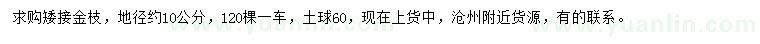 求购地径约10公分矮接金枝槐