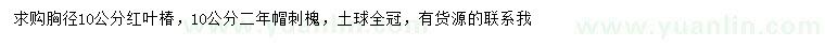 求购胸径10公分红叶椿、10公分刺槐