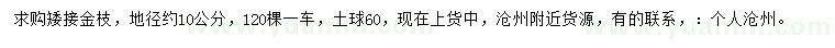 求购地径10公分矮接金枝