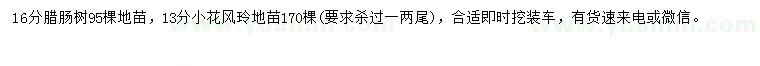 求购16公分腊肠树树、13公分小花风铃