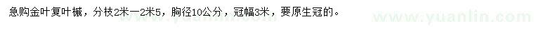 求购胸径10公分金叶复叶槭