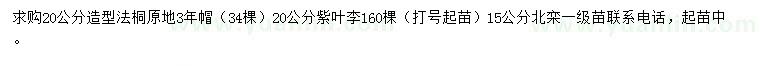 求购法桐、紫叶李、北栾