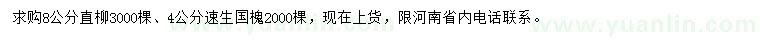 求购8公分直柳、4公分速生国槐