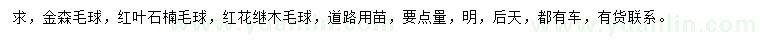 求购金森毛球、红叶石楠毛球、红花继木毛球