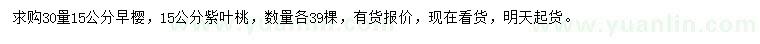 求购15公分早樱、紫叶桃