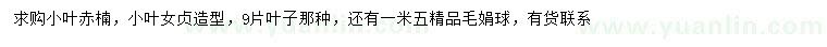 求购小叶赤楠、小叶女贞造型、毛鹃球