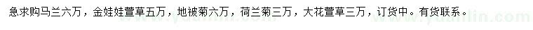 求购马兰、金娃娃萱草、地被菊等