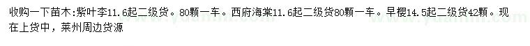 求购紫叶李、西府海棠、早樱