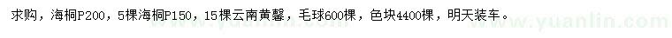 求购冠幅150、200公分海桐、云南黄馨