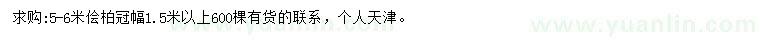 求购5-6米侩柏