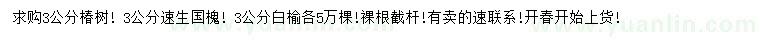 求购椿树、速生国槐、白榆