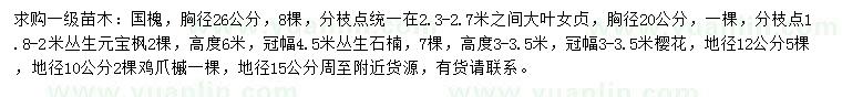 求购国槐、大叶女贞、丛生元宝枫等