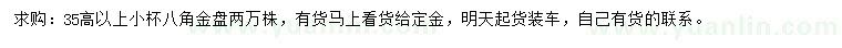 求购高35公分以上八角金盘