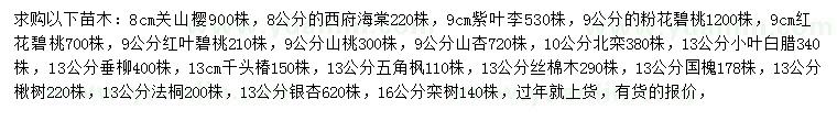 求购关山樱、西府海棠、紫叶李等