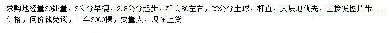 求购30量2.8公分以上早樱