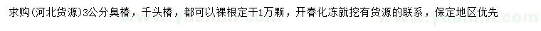 求购3公分臭椿、千头椿