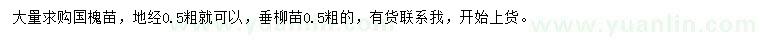 求购地径0.5公分国槐苗、垂柳苗