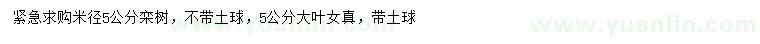 求购米径5公分栾树、大叶女贞