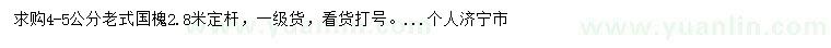 求购4-5公分老式国槐