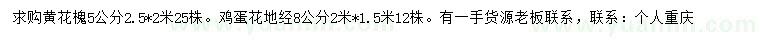 求购5公分黄花槐、地径8公分鸡蛋花