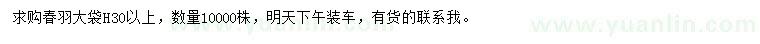 求购高30公分以上春羽大袋