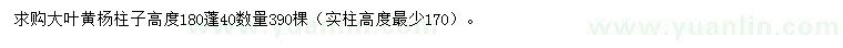 求购高度180公分大叶黄杨柱子