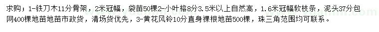 求购铁刀木、小叶榕、黄花风铃