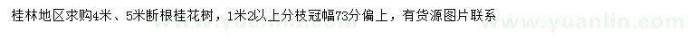 求购4、5米断根桂花树