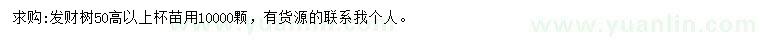 求购高50公分以上发财树