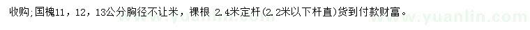 求购胸径11、12、13公分国槐