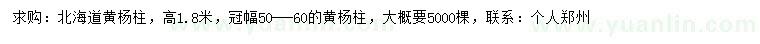 求购北海道黄杨柱