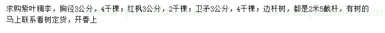 求购紫叶稠李、红枫、卫矛