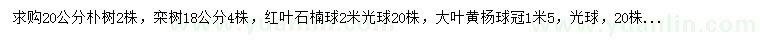 求购朴树、栾树、红叶石楠等