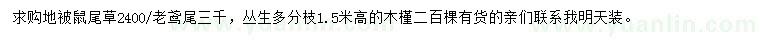 求購鼠尾草、老鸢尾、叢生木槿