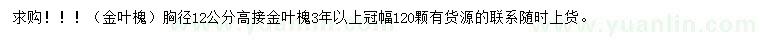 求购胸径12公分高接金叶槐