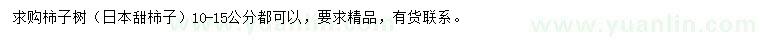 求购10-15公分日本甜柿