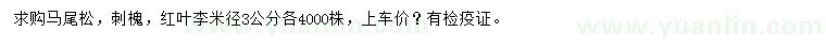 求购马尾松、刺槐、红叶李