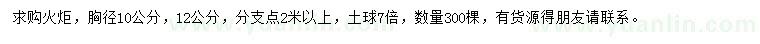 求购胸径10、12公分火炬