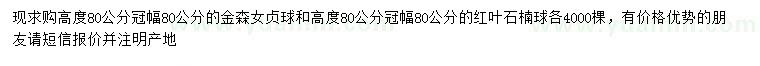 求购冠幅80公金森女贞球、红叶石楠球