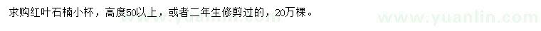 求购高50公分以上红叶石楠