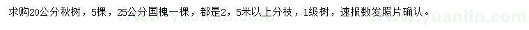 求购20公分楸树、25公分国槐