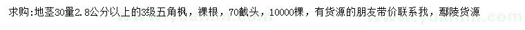 求购30量2.8公分以上五角枫