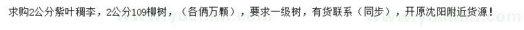 求购2公分紫叶稠李、109柳树