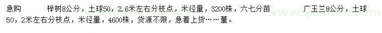 求购米径8公分榉树、广玉兰